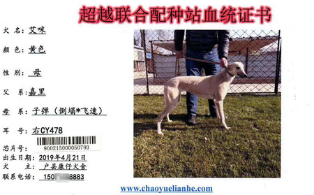艾咪 CY478，900215000050793
