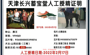 黑王X小黑哈利941000016715079.jpg