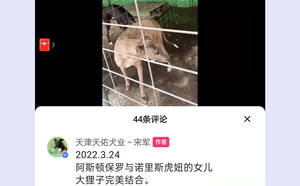 阿斯顿保罗X大狸子 156111110029369.jpg