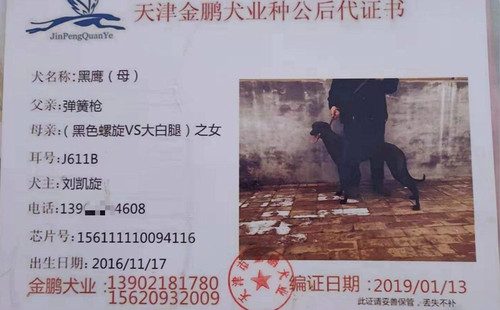 黑鹰 J611B，156111110094116