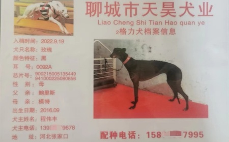 玫瑰 900215005135449，941000225080856