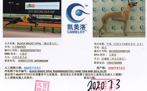 魔法蛋白石X芒果 941000225080126.jpg