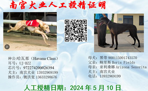 哈瓦那X黑带 156111110096135，900115001743570，NGXH716BA.jpg