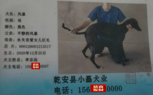 风暴 900128001212517