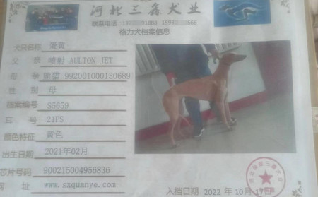 蛋黄 900215004956836
