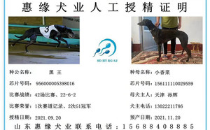 黑王X小香菜 156111110029559.jpg