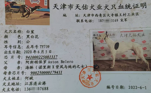 白鲨 941000225081317，TY739