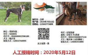 贵族包装X幻觉凯蒂 900155000037116.jpg