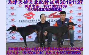 阿斯顿保罗X黑妞 900015637868040.jpg