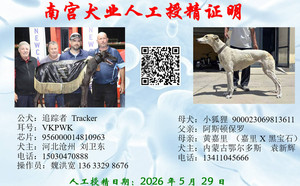 追踪者X小狐狸 900023069813611.jpg