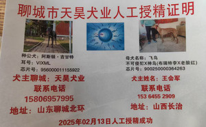 阿斯顿吉甘特X飞鸟 900250000364263，GAOD.jpg