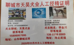 闪烁的柳树X蓝色彩虹 990000010039291.jpg