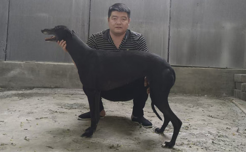 美迪贝尔 900022092023404，小佳佳