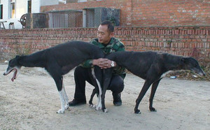 霸道X愤怒 Awesome Rage，900111880089741.jpg