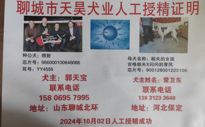 喷射X帕夫的女孩 900128001225106.jpg