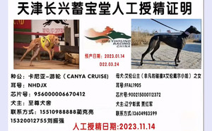 卡尼亚游轮X艾伦公主 900215000112372，FFAL1905.jpg