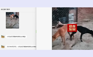 小无法无天X海盗 900113001407817.jpg