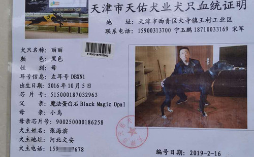 丽丽 DBXN1，515000187032963