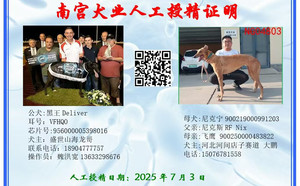 黑王X尼克宁900219000991203，NGXH323AB9.jpg