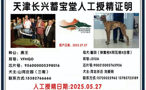 黑王X翻羽900215005763936，J312A.jpg