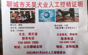 喷射X松原李晓明的小黑（2023年7月24日配）.jpg
