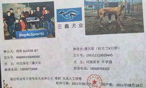 喷射X满天星 156111110029445.jpg