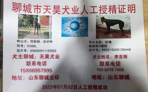 阿斯顿吉甘特X玫瑰 900215005135449，941000225080856.jpg