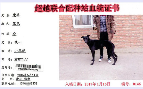 魔狼 CY177，900250000445102