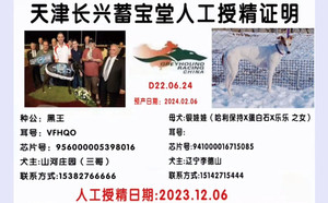 黑王X银娃娃 941000016715085.jpg