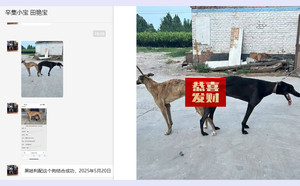 黑哈利X小狸子 900263000987395，ALS2110M.jpg