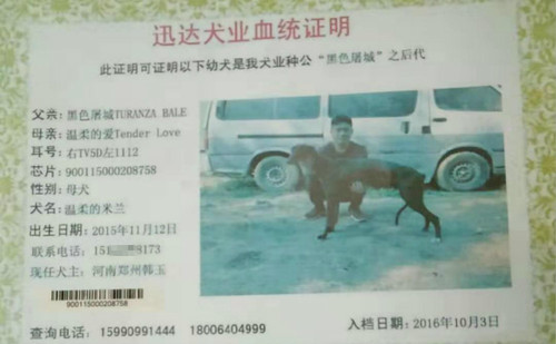 温柔的米兰 TV5D 1112，900155000208758