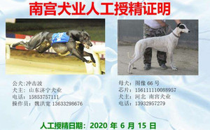 冲击波X图像66号 NGXH 616MB，156111110088957.jpg