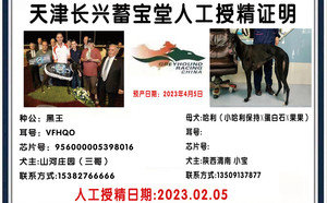 黑王X哈利992001000226098.jpg