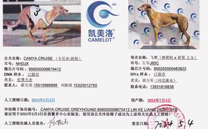 卡尼亚游轮X飞鹰 J65C，900250000483822.jpg