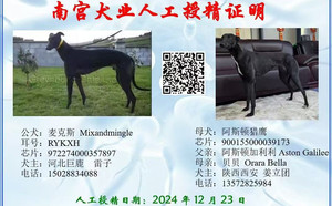 麦克斯X阿斯顿猎鹰 900155000039173，L1909.jpg
