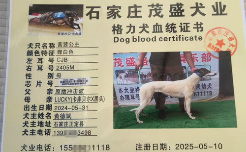 茜茜公主 900255001084646，CJB2405M
