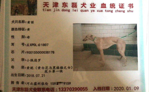 黄丽 900155000038178，XPDL1807
