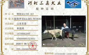 喷射X彼得罗尼 Kalden Petroni，956000001523031，649 WBA.jpg