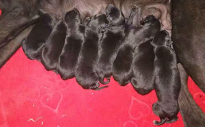 牛仔裤X黑妞 900015637868040.jpg