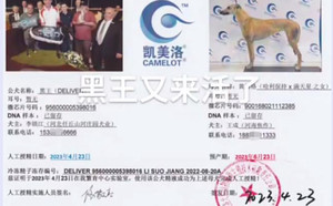 黑王X黄格格 900168021112385.jpg