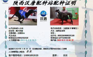 超人小伙子X秀秀 900156999025130.jpg