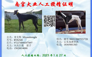 麦克斯X踏雪 900215007521728.jpg
