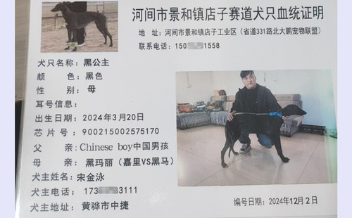 黑公主 900215002575170