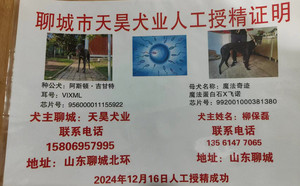 阿斯顿吉甘特X魔法奇迹 DBFN9，992001000381380.jpg