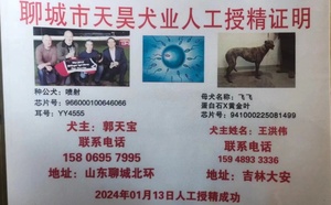 喷射X飞飞 TY829，941000225081499.jpg