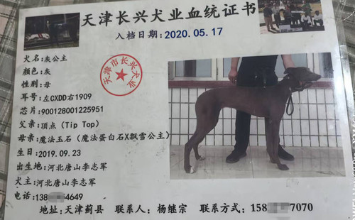 灰公主 900128001225951，CXDD1909