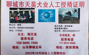 喷射X哈利格格 900155000057417，H1710.jpg