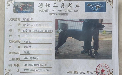 喷射CC 900215004956762