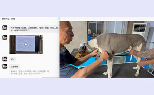 赫斯顿X辉煌小白腿 NGXH 717M，900115000929373.jpg
