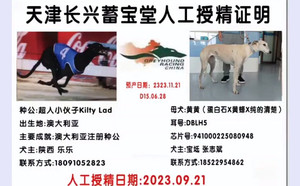 超人小伙子X黄黄 DBLH5，941000225080948.jpg